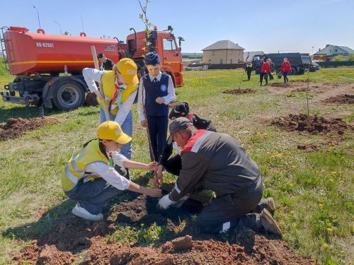 Кукмарада алмагач бакчасына беренче агачлар утыртылды