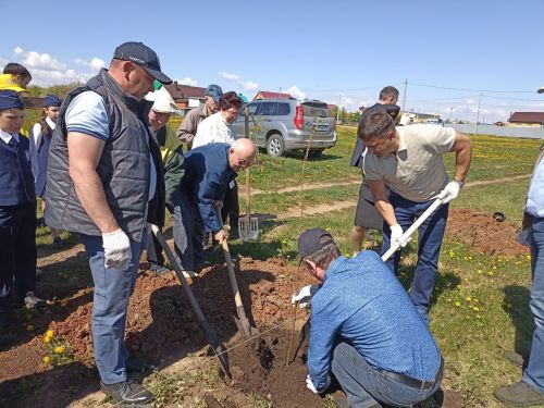Кукмарада алмагач бакчасына беренче агачлар утыртылды