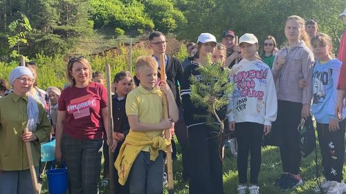 В Кукморе за стадионом имени Рината Мухаметшина высадили саженцы рябины и ели