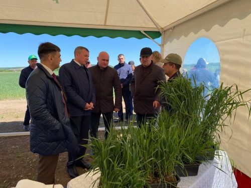 Кукмарага Татарстан Республикасы авыл хуҗалыгы һәм азык-төлек министры Марат Җаббаров килде