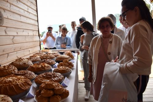 На Сабантуе в Казани представили Кукморское подворье