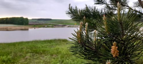 В Кукморском районе ожидаются кратковременные дожди, грозы и до ..+26˚