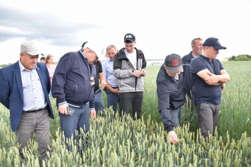 Кукмара районы җитәкчелеге һәм аграрийлар кырларның торышы белән таныштылар
