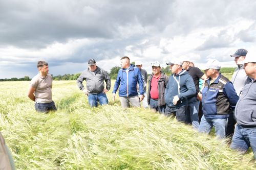 Кукмара районы җитәкчелеге һәм аграрийлар кырларның торышы белән таныштылар