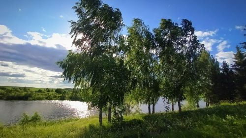 В Кукморском районе ожидается сильный ветер и до +29 градусов