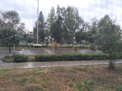 В воскресенье в Кукморском районе ожидается дождь и до +17 градусов
