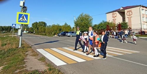В Кукморе сотрудники Госавтоинспекции вблизи образовательных учреждений провели акцию «Безопасная дорога»