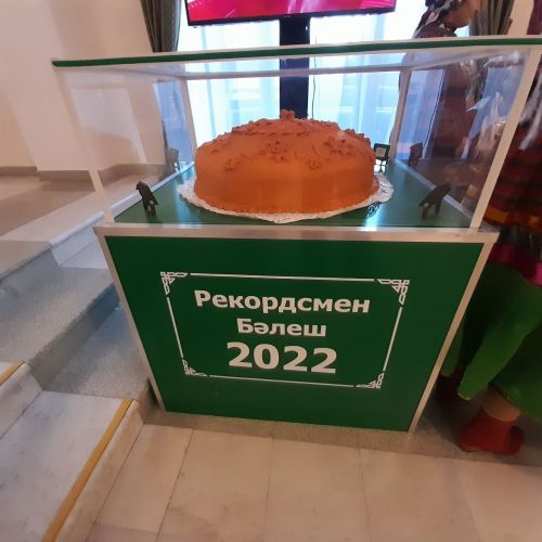 В Казани прошел День культуры Кукморского муниципального района Татарстана