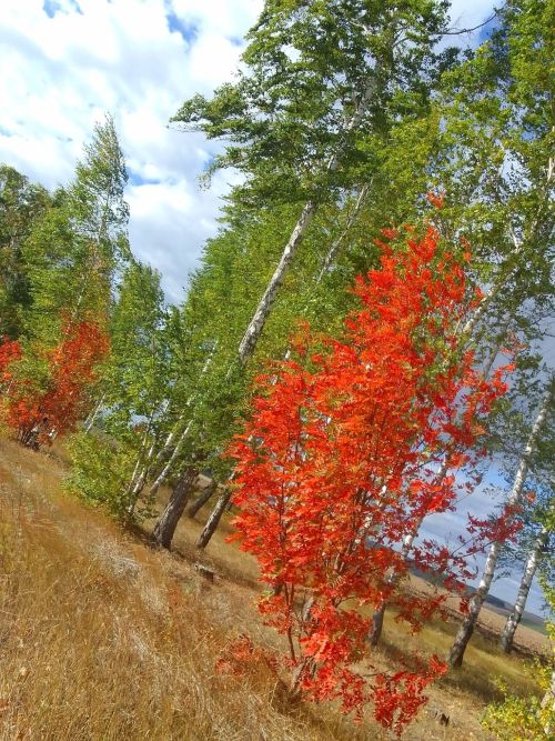 В Кукморском районе ожидается до +20 градусов