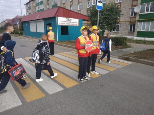 Кукмарада «Имин юл кичүе» акциясе үткәрелде