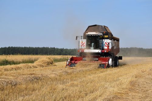 Аграрии Татарстана собрали более 3,6 млн тонн зерна