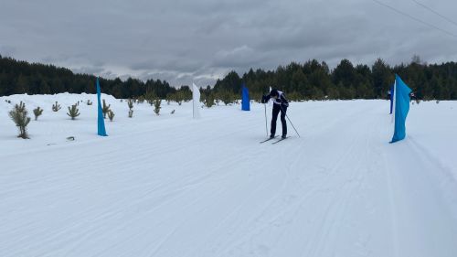 Лубянда Татарстан Республикасының урман тармагы хезмәткәрләре арасында «Урман чаңгы юлы — 2024» спартакиадасы үткәрелде