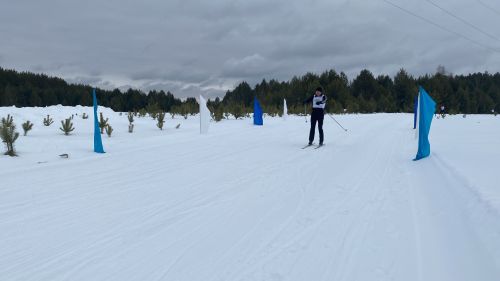 Лубянда Татарстан Республикасының урман тармагы хезмәткәрләре арасында «Урман чаңгы юлы — 2024» спартакиадасы үткәрелде