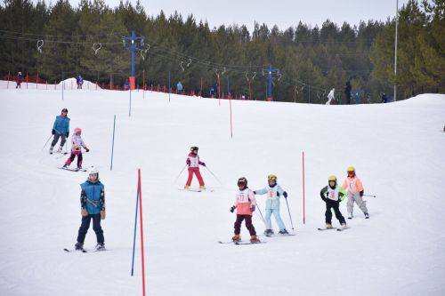 В Кукморе на соревнования по горнолыжному спорту и сноуборду памяти Александра Стрельникова съехались 80 детей из республики