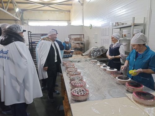 Кукмарага Бөтенроссия татар эшмәкәрләре  килде