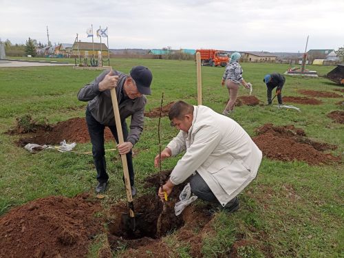 В Кукморе на территории Парка Победы посадили саженцы фруктовых деревьев