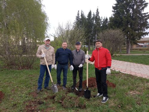 В Кукморе на территории Парка Победы посадили саженцы фруктовых деревьев