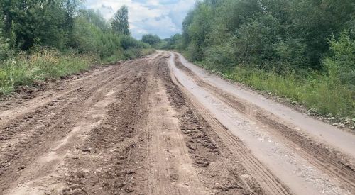Кукмаралылар Олыяз белән Зур Сәрдек җирлеге арасындагы юлның начарлыгыннан зарланалар