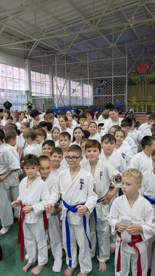 Спортсмены из Кукмора заняли призовые места в республиканских соревнованиях по киокусинкай каратэ