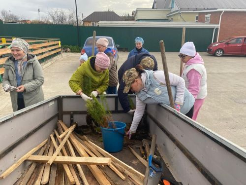 Зур Кукмарада 132 төп нарат үсентесе утыртылды