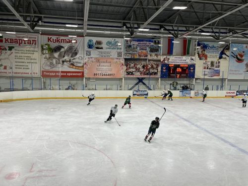 В Кукморе провели хоккейный турнир в память об Атласе Назмиеве