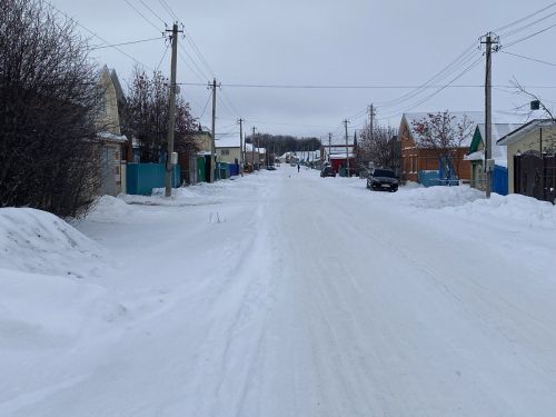 Фәния Бариева: Зур Кукмараның Киров урамы белән бәйле хатирәләр онытылмый