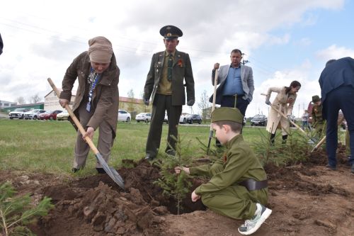 Кукмарада «Хәтер бакчасы» акциясе кысаларында агач үсентеләре утырттылар
