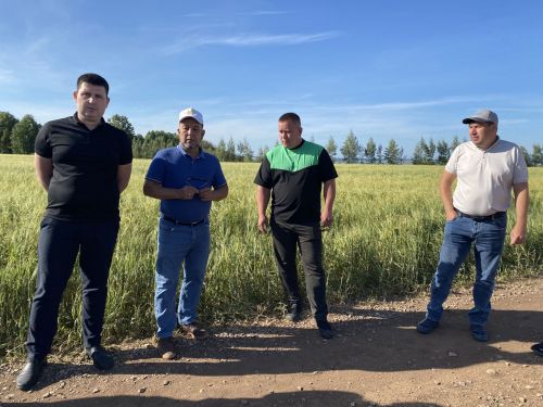 Кукмара аграрийлары басуларга чыгып тәҗрибә уртаклаштылар