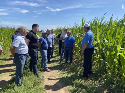 Кукмара аграрийлары басуларга чыгып тәҗрибә уртаклаштылар