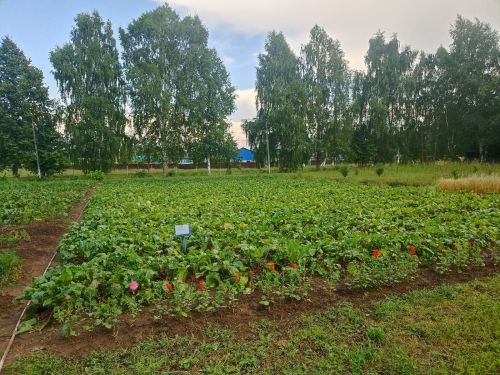 Кукмара районында мәгариф учреждениеләренең яңа уку елына әзерлеге тикшерелә