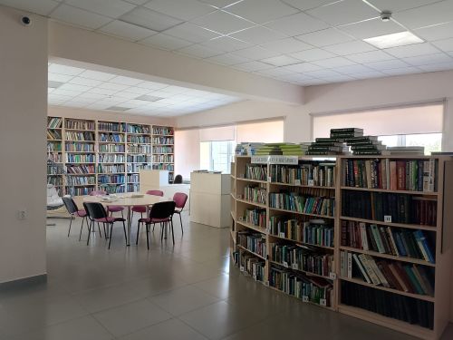 Две победы в одной семье: библиотеки Кукмора получат гранты