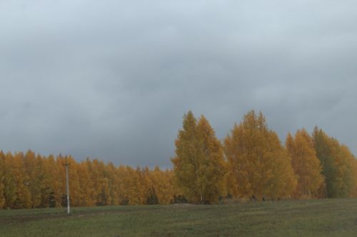 Октябрь принесет в Кукморский район мокрый снег и заморозки