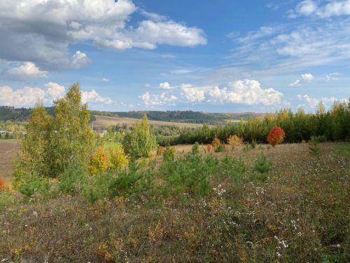 Звезды расскажут, каким будет день 5 октября