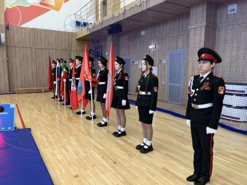 Дань уважения героям: В Кукморе прошел турнир по самбо