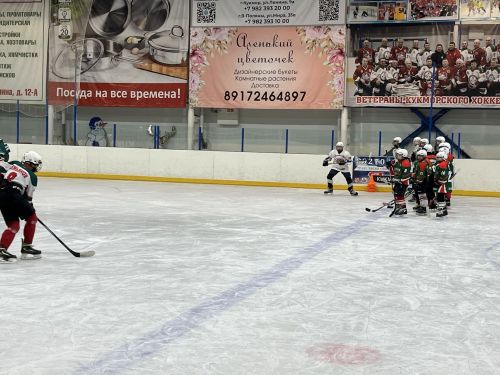 Фоторепортаж: В Кукморе прошла встреча со звёздами хоккея
