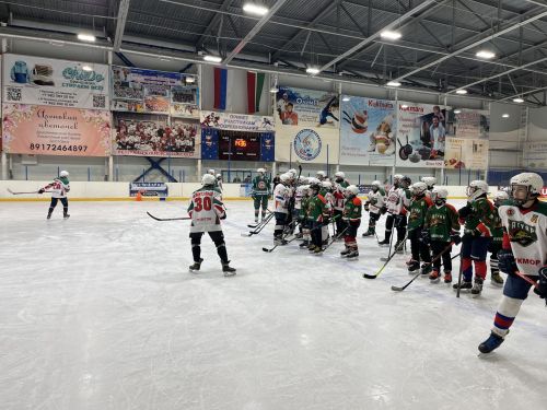 Фоторепортаж: В Кукморе прошла встреча со звёздами хоккея