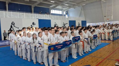 Спортсмены из Кукмора заняли призовые места в республиканских соревнованиях по киокусинкай каратэ