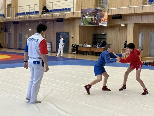 Кукмарада 181 спортчы самбо буенча турнирда көч сынаша
