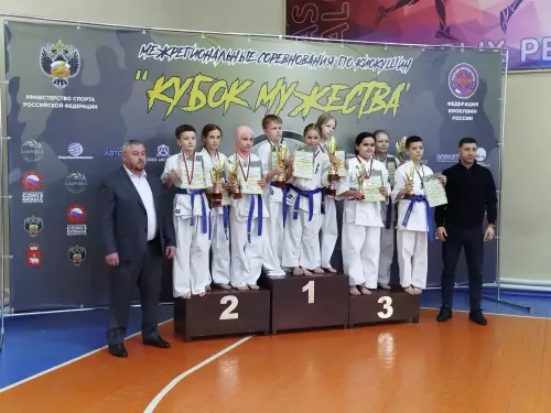 Спортсмены из Кукморского района — среди лучших на межрегиональных соревнованиях по киокушин