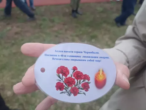 Кукмарада Чернобыль геройлары истәлегенә алмагач үсентеләре утырттылар