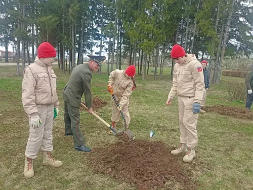 Кукмарада Чернобыль геройлары истәлегенә алмагач үсентеләре утырттылар