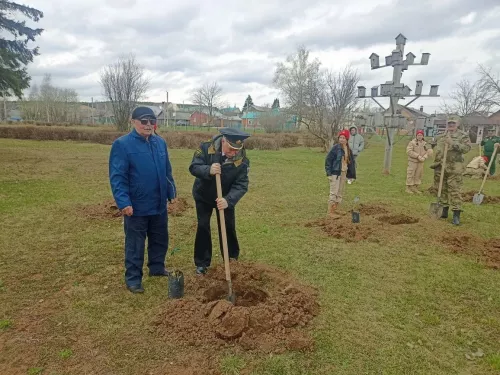 Кукмарада Чернобыль геройлары истәлегенә алмагач үсентеләре утырттылар
