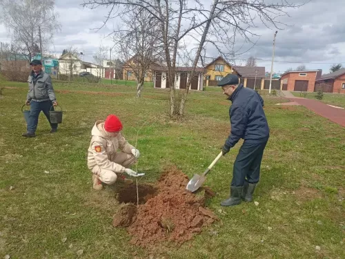 Кукмарада Чернобыль геройлары истәлегенә алмагач үсентеләре утырттылар