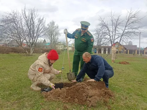 Кукмарада Чернобыль геройлары истәлегенә алмагач үсентеләре утырттылар