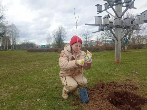 Кукмарада Чернобыль геройлары истәлегенә алмагач үсентеләре утырттылар