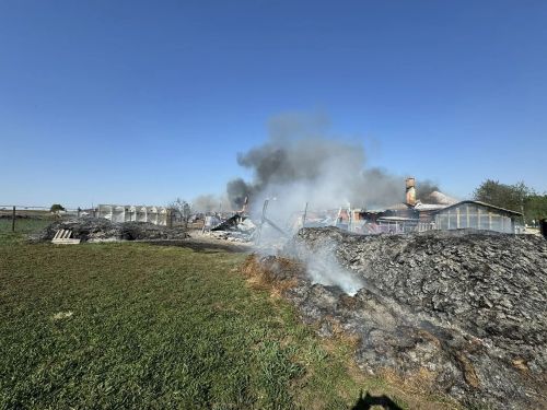 Поможем всем миром: в Кукморском районе пожар оставил людей без дома и хозяйства