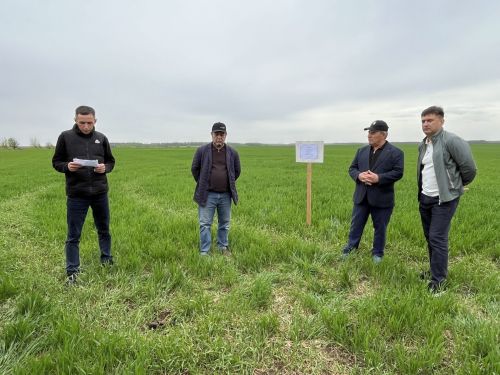 Развитие сельского хозяйства: в Кукморском районе реализуют проекты на сотни миллионов рублей