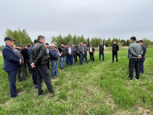 Развитие сельского хозяйства: в Кукморском районе реализуют проекты на сотни миллионов рублей