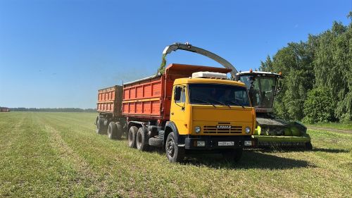 От рассвета до заката: как в Кукморском районе создают кормовой запас на зиму