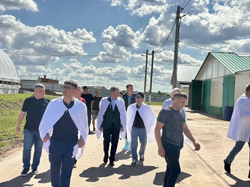 Төбәкара тәҗрибә алмашу: Түбән Новгород өлкәсе делегациясе Кукмарадагы объектлар белән танышты
